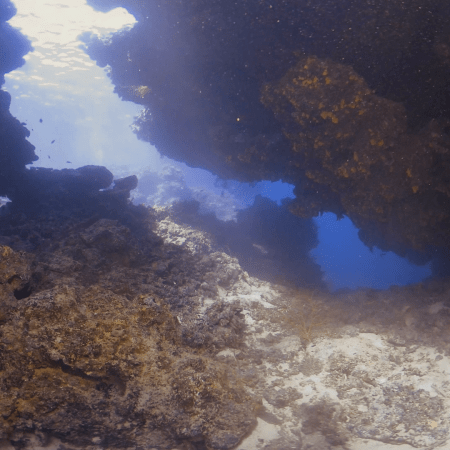 The Cathedral's Grotto: Light & Life