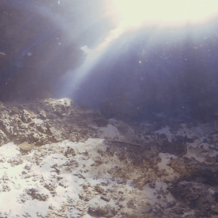 Cathedral's Sunlit Crevices