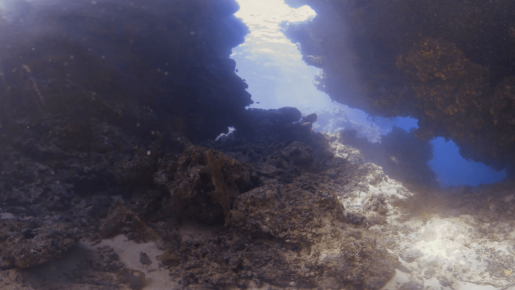 The Cathedral: Sunlit Cavern
