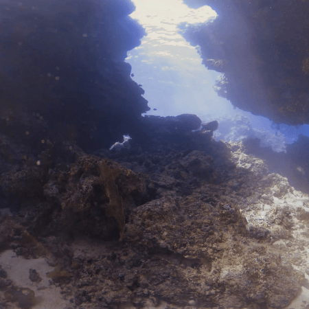 The Cathedral: Sunlit Cavern