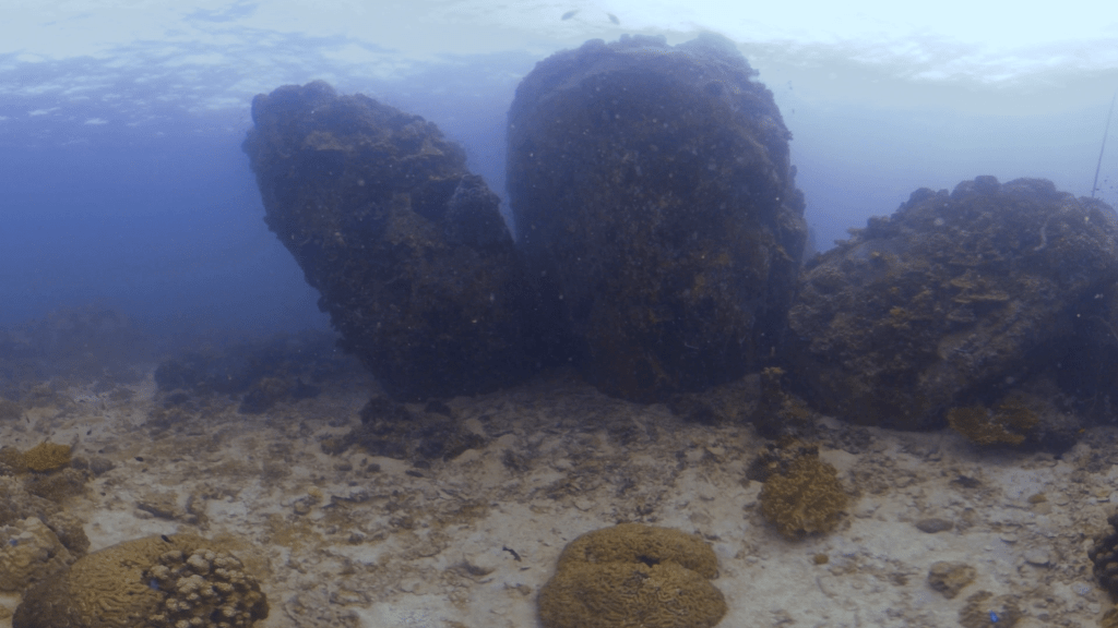 Boulder Reef Sanctuary