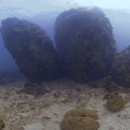 Boulder Reef Sanctuary