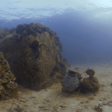 Sponge City Reefscape