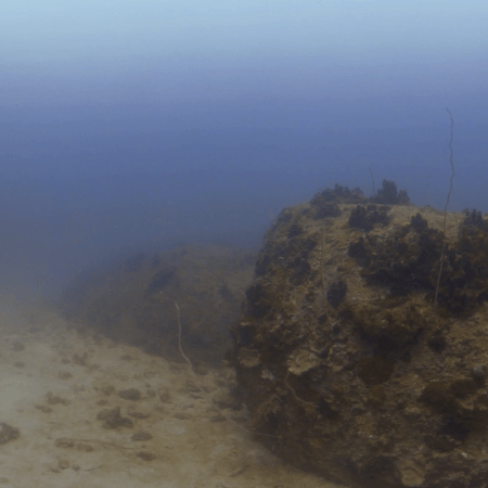 Sandy Bottom Rockscape