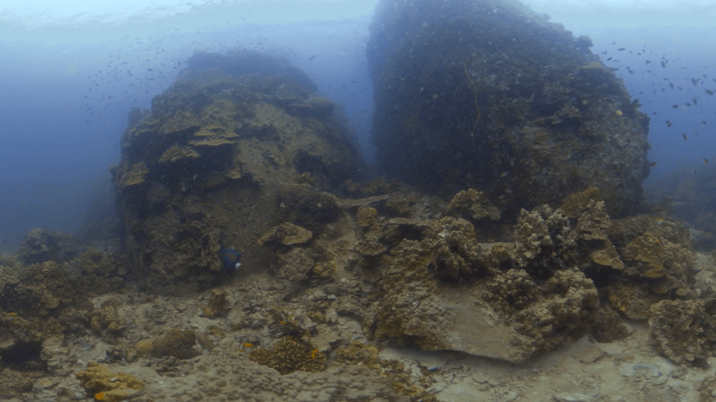 Big Rock Reefscape