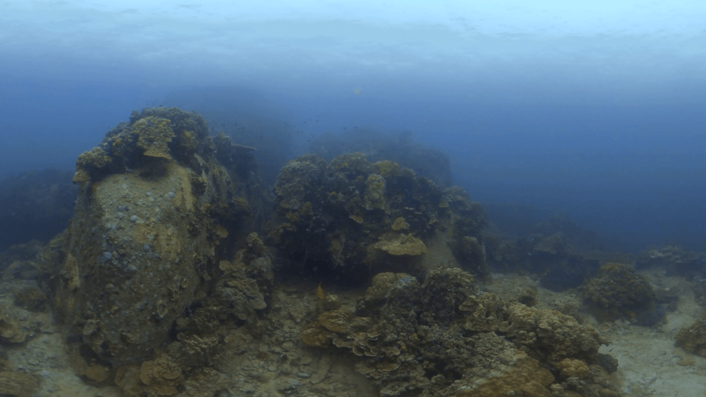 Coral Seascape: Approaching Rock Formations