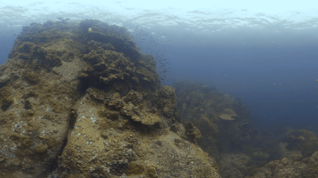 Coral Rock Ascent