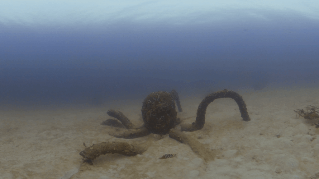 Octopus Reef: Submerged Art