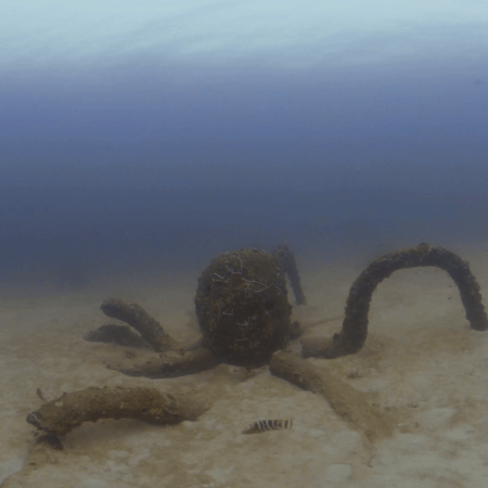 Octopus Reef: Submerged Art