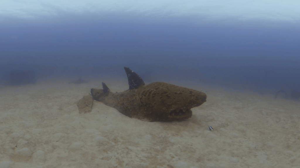 Shark Reef: Aquatic Sculpture