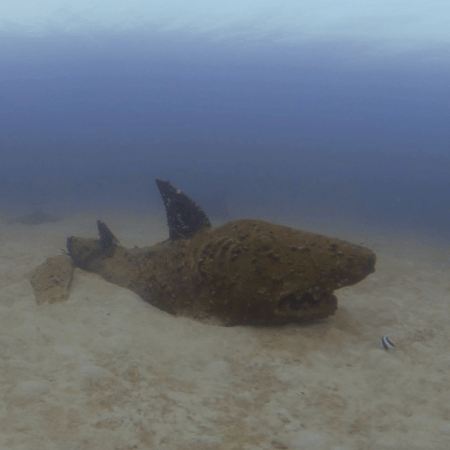 Shark Reef: Aquatic Sculpture