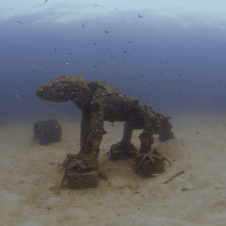 Dog Reef: Artificial Habitat