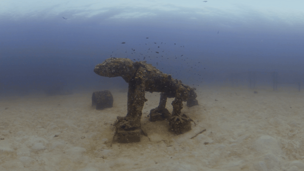 Reef Dog's Domain