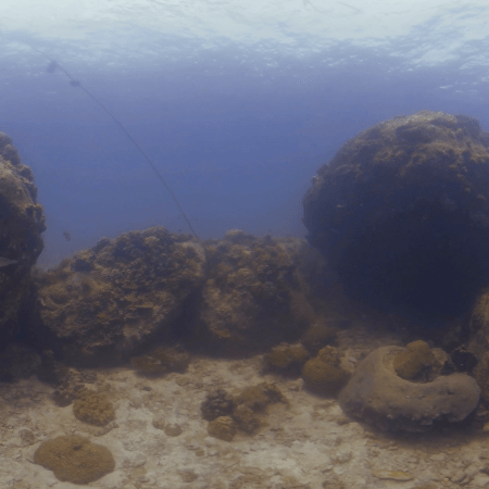 Coral Boulders: A Reefscape Journey