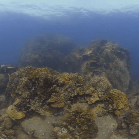 Coral Ascent: Rock Formation Panorama