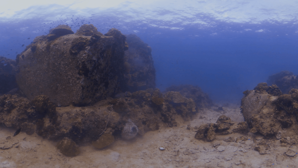 Coral Boulders and Reef Fish
