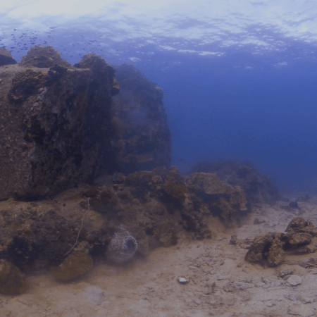 Coral Boulders and Reef Fish