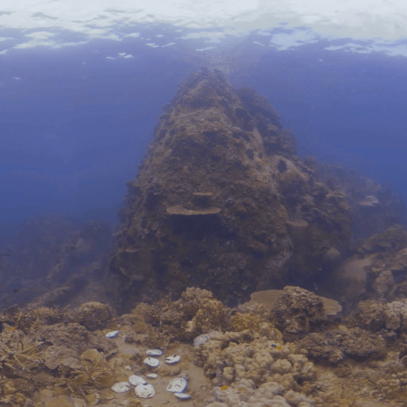 Coral Plateau Rock View