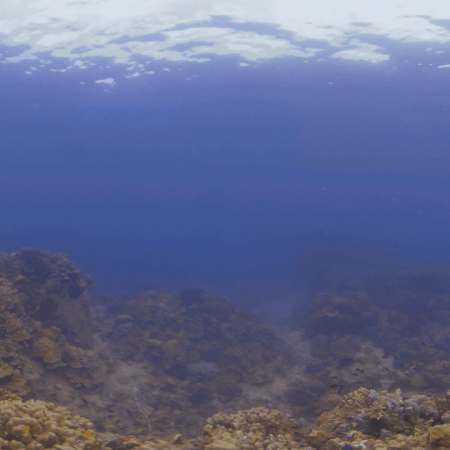 Coral Plateau Panorama