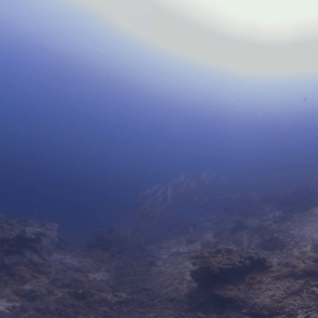 Barracuda School at Coral Base