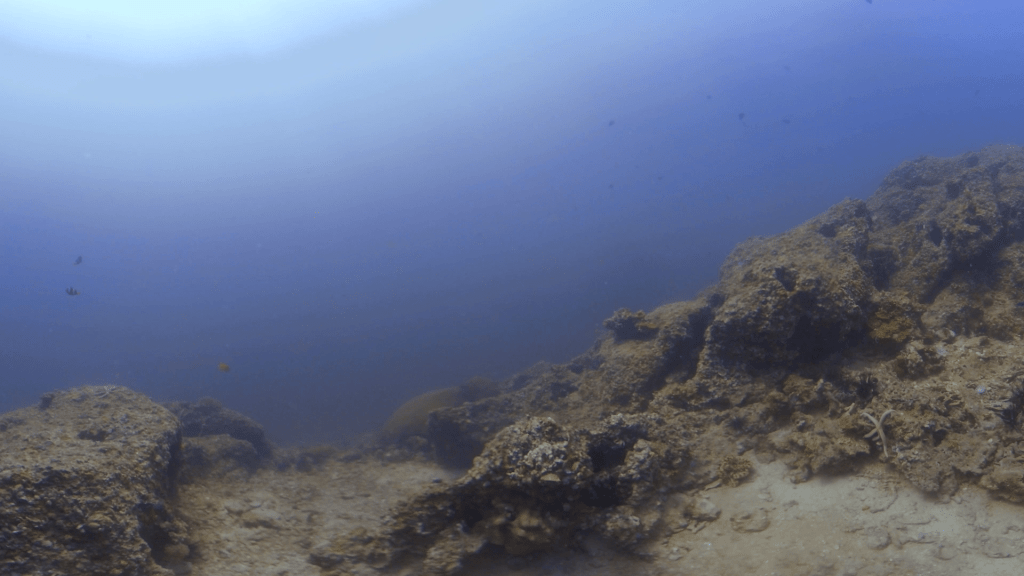 Desolate Reefscape