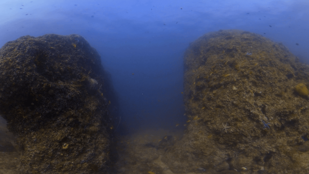 Coral Canyon Passage