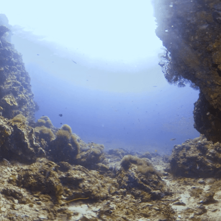 Cavern Light: Aegean Fish Haven