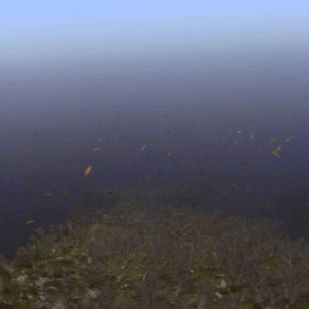 Pinnacle's Twilight Depths