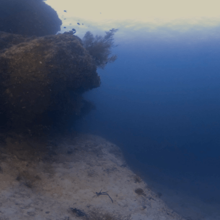Ridge Walk: A Submerged Reef