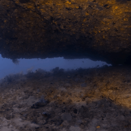 Reef Overhang Exploration