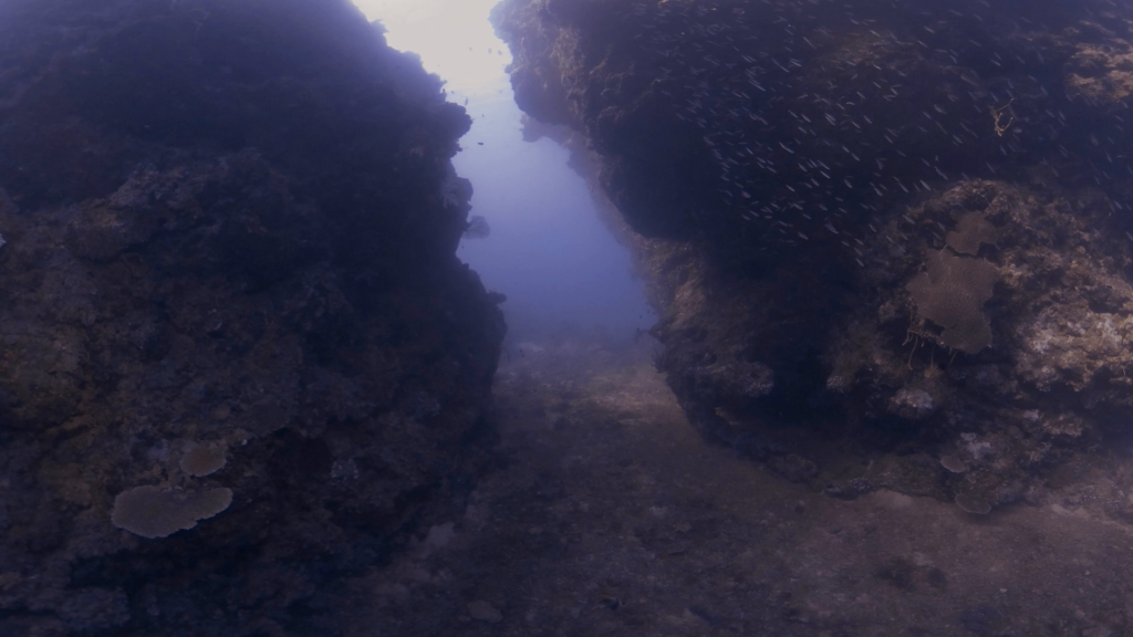 Canyon Crevice Passage
