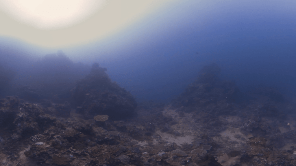 Cracked Reefscape