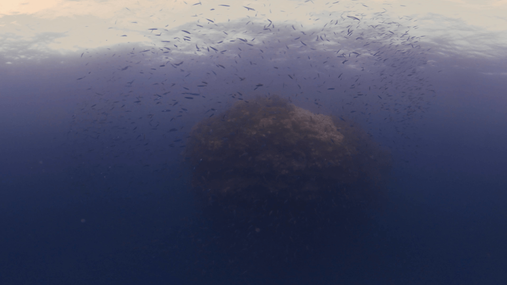Baitfish Swarm: Pulsating Reef Life