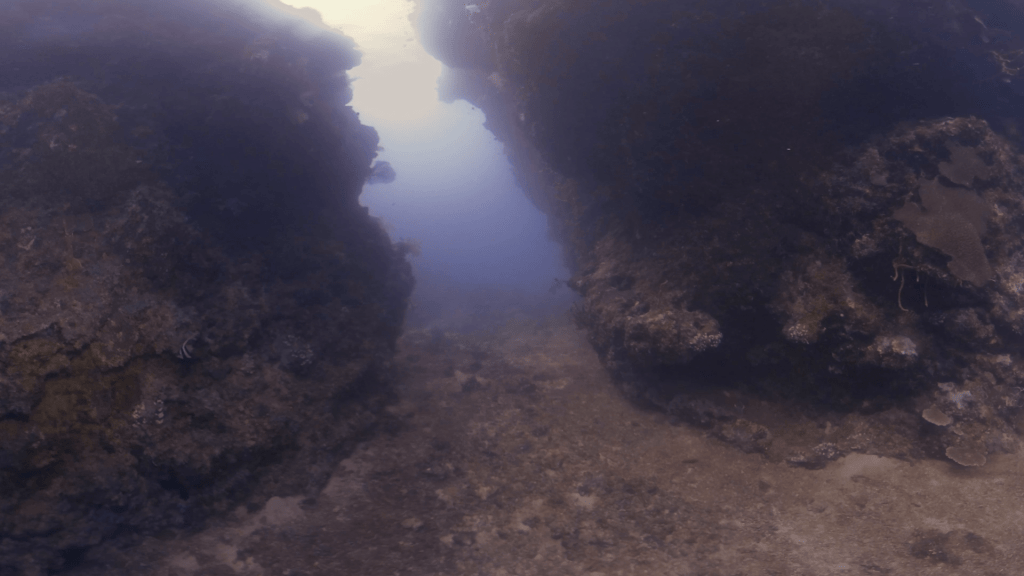 Coral Canyon Crevice Dive