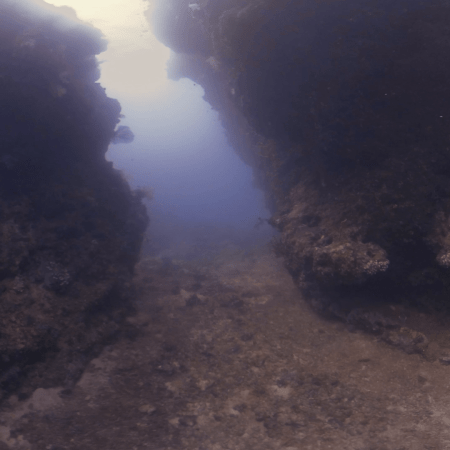 Coral Canyon Crevice Dive