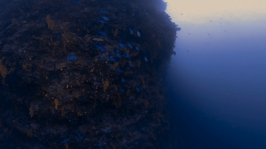Pinnacle's Depths: Submerged Kingdom