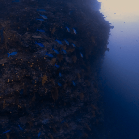 Pinnacle's Depths: Submerged Kingdom