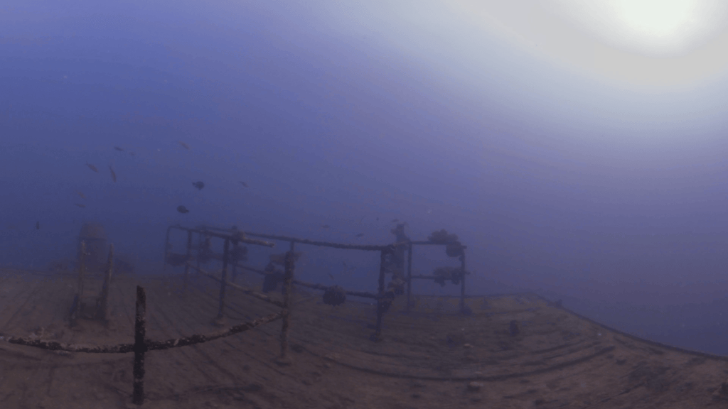 Wreck's Sunlit Deck