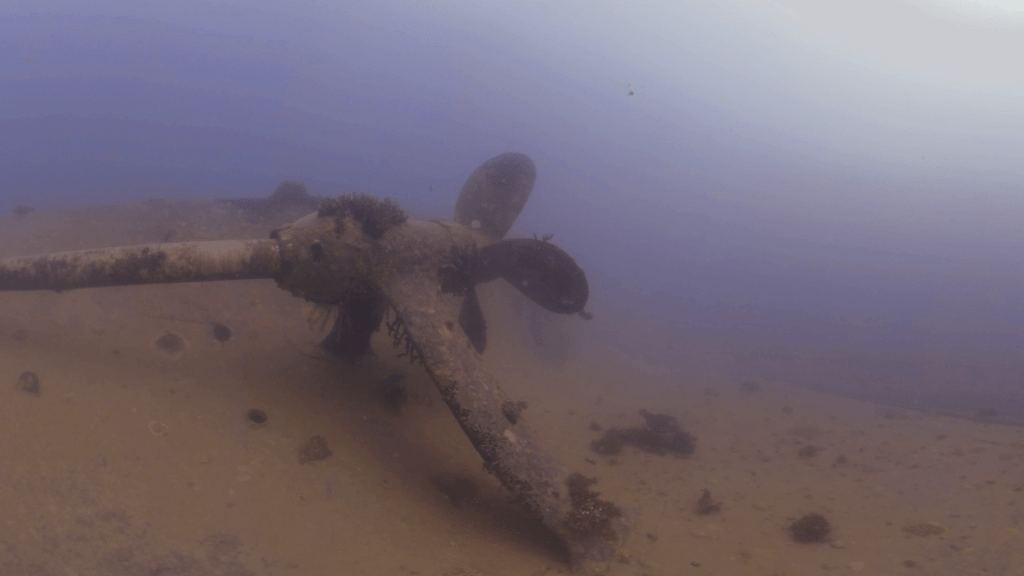 Wreck Propeller: Sunken Relic