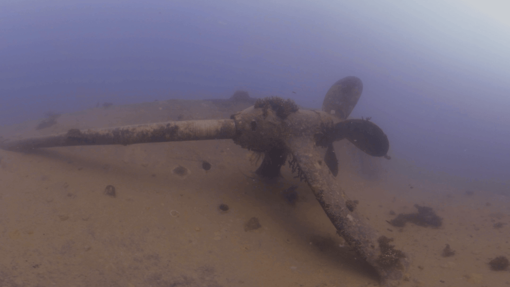 Wreck Propeller's Silent Witness