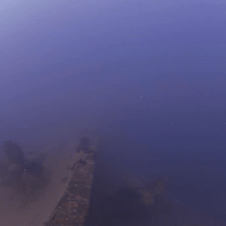 Wreck's Propellers: A Sunken Relic