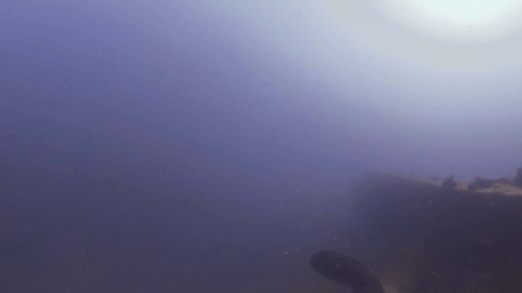 Wreck Propeller's Silent Dance