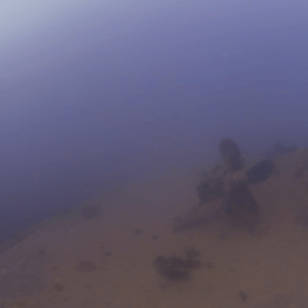 Wreck Propeller's Silent Dance