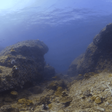 Sunlit Bouldered Reef with Azure Stars