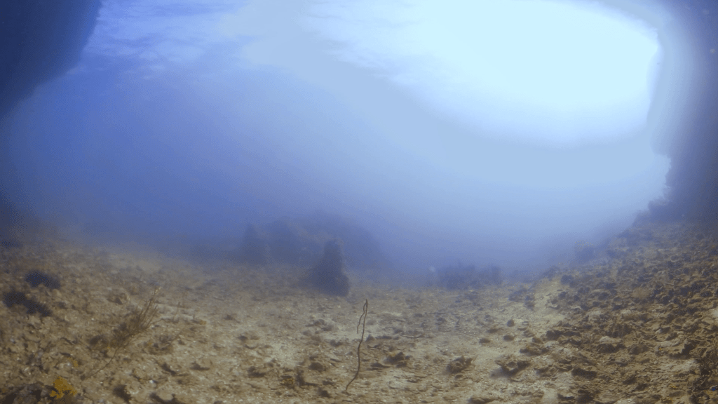 Submerged Grotto Lumen