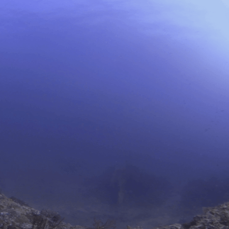 Deep Blue Reef Channel with Schooling Chromis