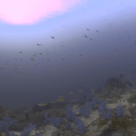 Ethereal Reef Dusk: Anthias School in Violet Light