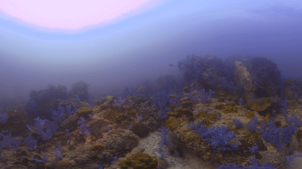Vibrant Purple Coral Garden Hues
