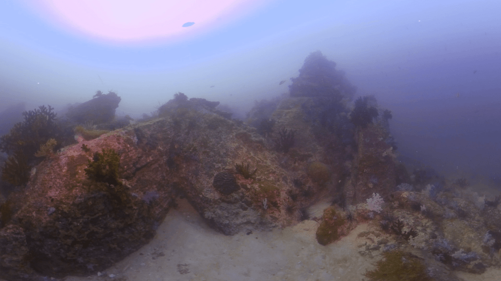 Rocky Reef Structure with Passing Reef Fish