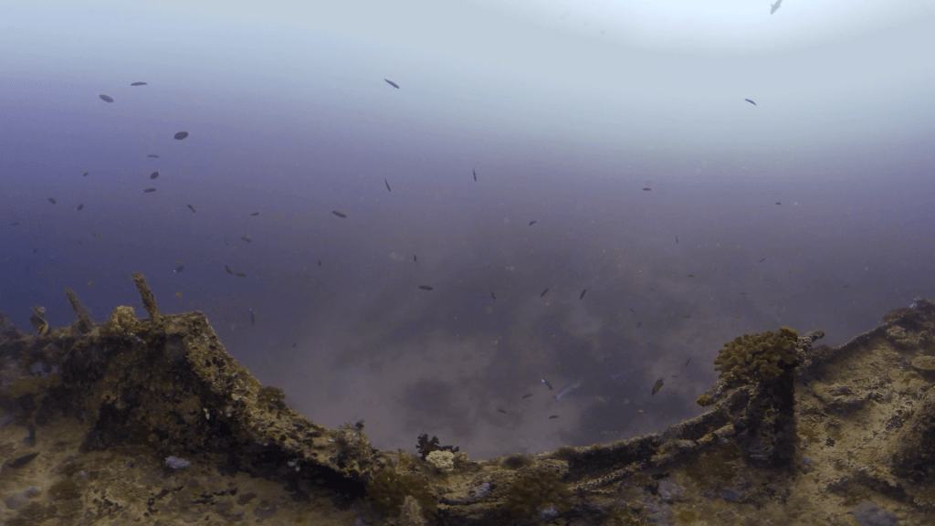 Shipwreck's Sunken Stories: Pilothouse View